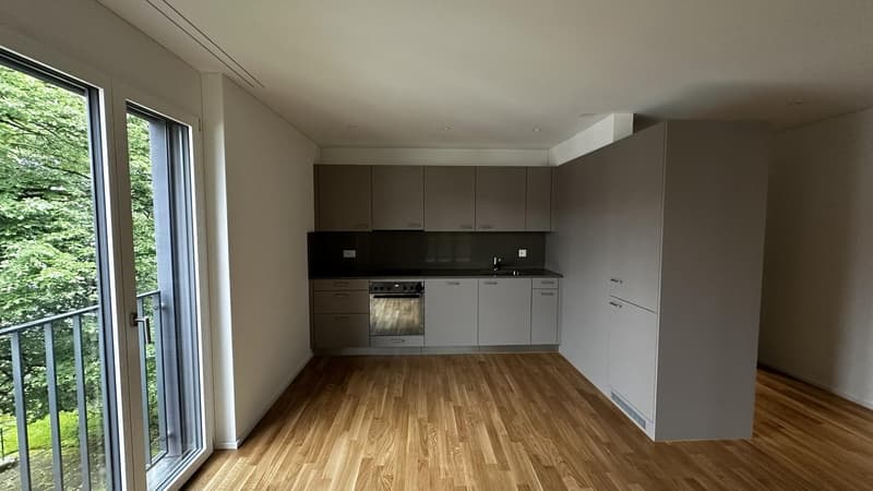 DOMUM Gränichen Residential Building | Multi-Generational Houses with Settlement Coach, Fitness Studio, and More (2)