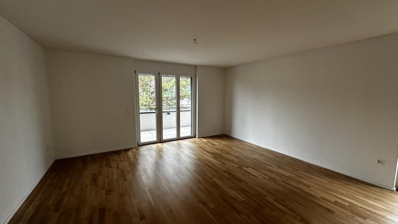 DOMUM Gränichen Residential Building | Multi-Generational Houses with Settlement Coach, Fitness Studio, and More (3)