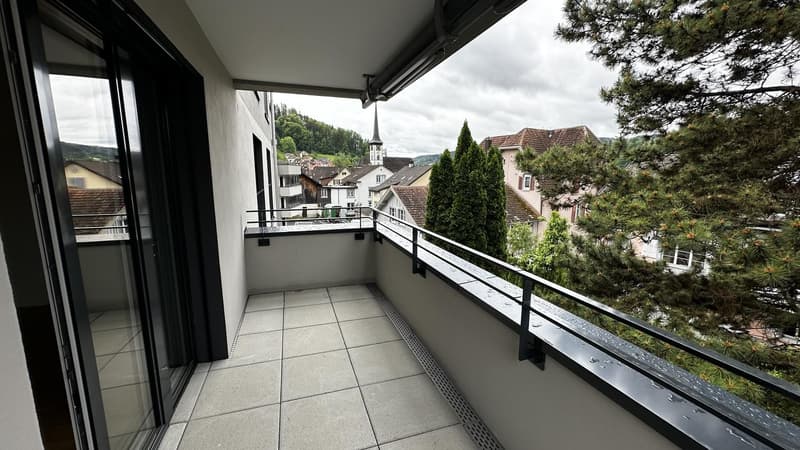 DOMUM Gränichen Residential Building | Multi-Generational Houses with Settlement Coach, Fitness Studio, and More (7)