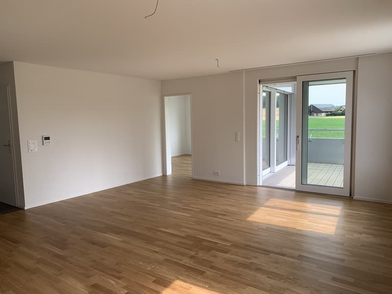 DOMUM Residential Complex Winterthur | Multi-Generation Houses with Settlement Coach, Fitness Studio, and More (2)