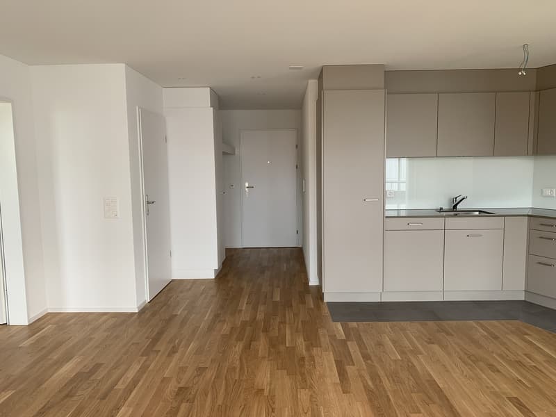 DOMUM Residential Complex Winterthur | Multi-Generation Houses with Settlement Coach, Fitness Studio, and More (3)