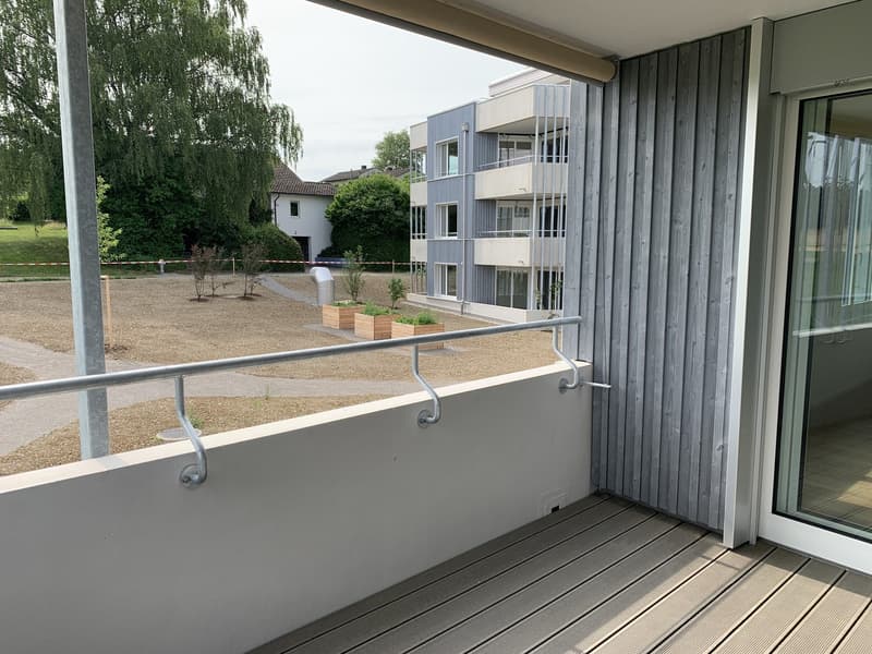 DOMUM Residential Complex Winterthur | Multi-Generation Houses with Settlement Coach, Fitness Studio, and More (6)