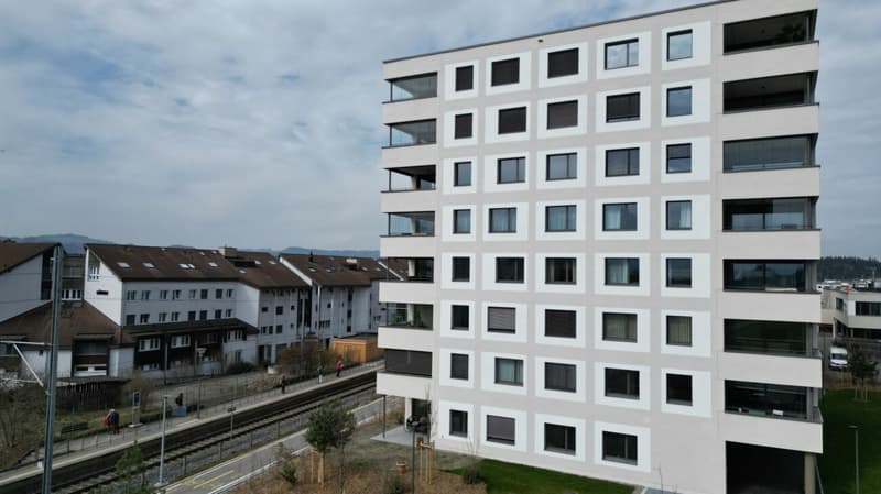 Das Haus und seine Umgebung