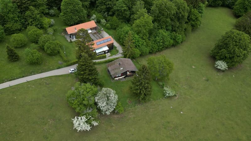 Idyllic chalet with large plot in absolute quiet location in Magglingen (16)