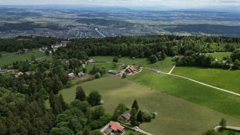 Idyllic chalet with large plot in absolute quiet location in Magglingen (20)