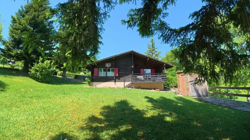 Idyllic chalet with large plot in absolute quiet location in Magglingen (2)