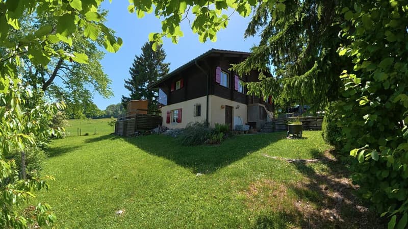 Idyllic chalet with large plot in absolute quiet location in Magglingen (1)