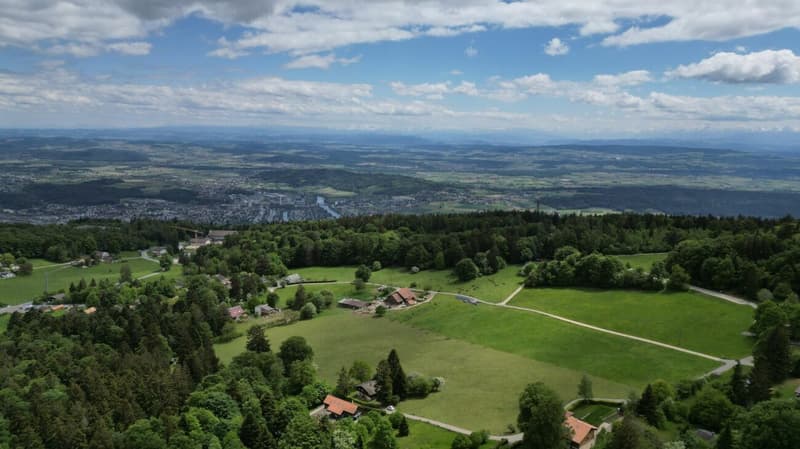Idyllic chalet with large plot in absolute quiet location in Magglingen (21)