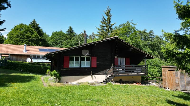 Idyllic chalet with large plot in absolute quiet location in Magglingen (13)