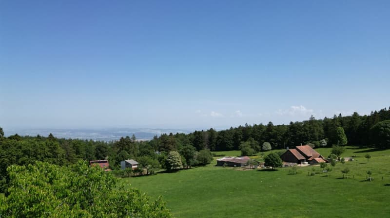 Idyllic chalet with large plot in absolute quiet location in Magglingen (19)