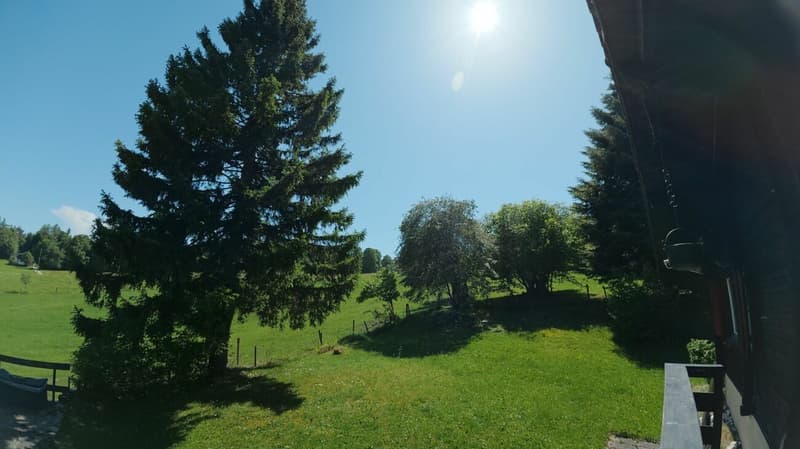 Idyllic chalet with large plot in absolute quiet location in Magglingen (18)