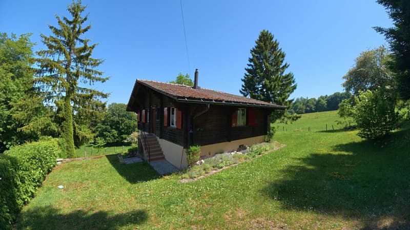 Idyllic chalet with large plot in absolute quiet location in Magglingen (14)