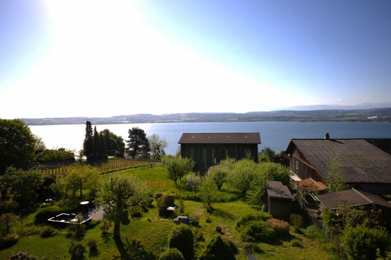Un refuge charmant avec une vue panoramique imprenable : appartement de 3,5 pièces en mansarde à Vallamand (2)