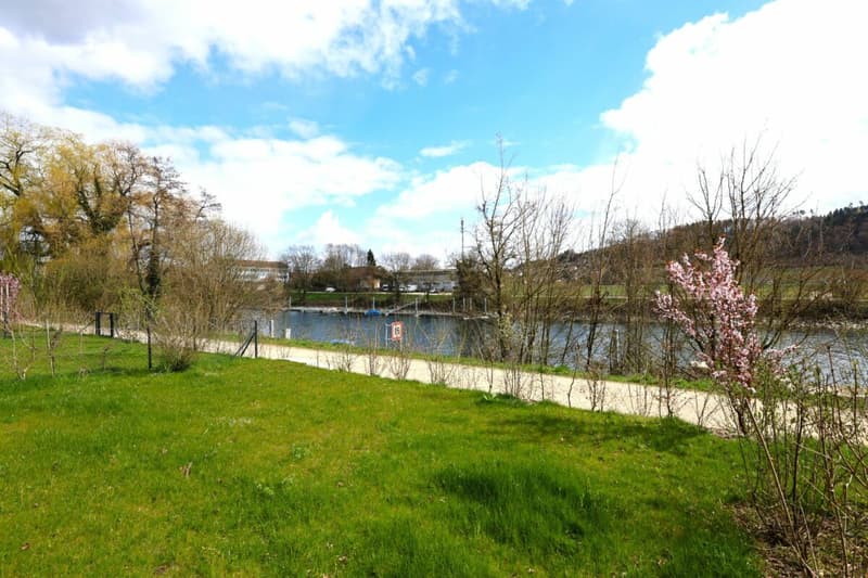 Blick auf die Aare