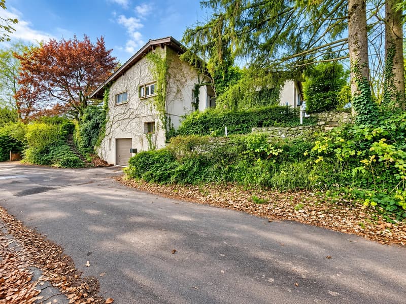 UNE VILLA OUVERTE SUR LA CAMPAGNE, À DEUX PAS DE MORGES (8)