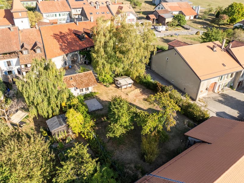 Une propriété de caractère aux multiples possibilités (8)