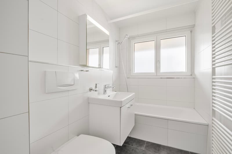 Neu renvoierte 4-Zimmer Wohnung (4)