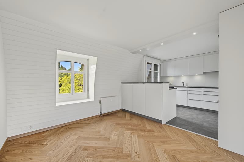 Exklusive Stadtwohnung mit privater Dachterrasse (3)