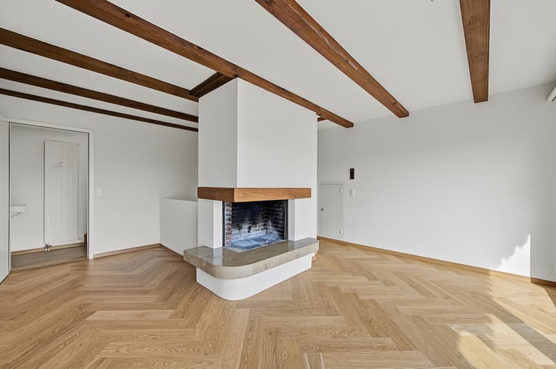 Exklusive Stadtwohnung mit privater Dachterrasse (8)