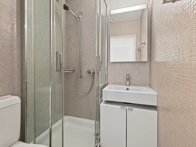 1-Zimmer Wohnung in Zürich-Seefeld (5)