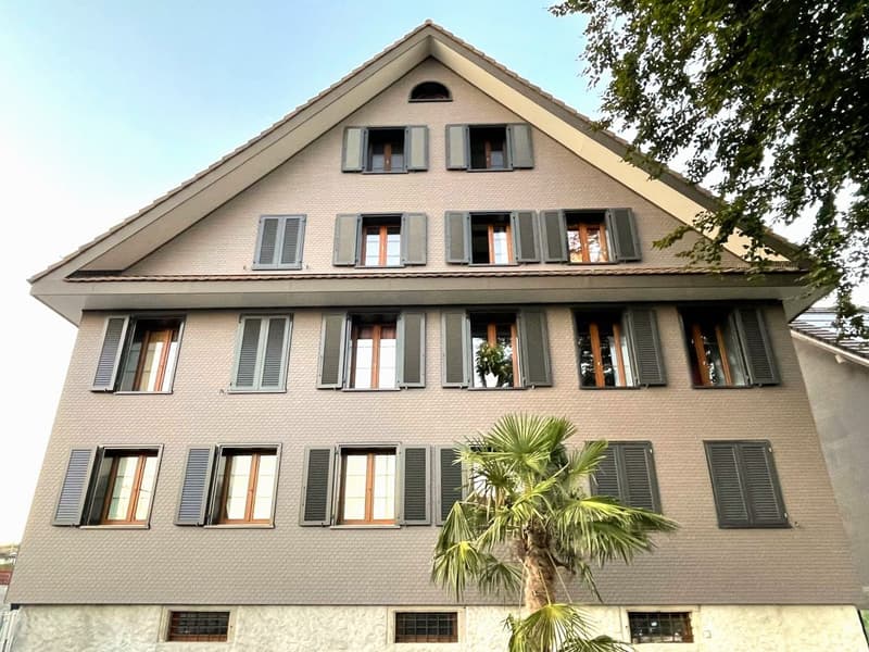 4 story house, brick facade, multiple windows, gray shutters, triangular roof, palm tree in front