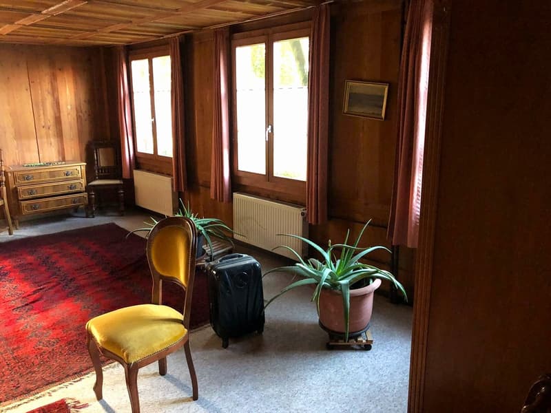 wooden walls, red carpet, yellow chair, black suitcase, potted plants, wooden cabinet, radiators, picture frame