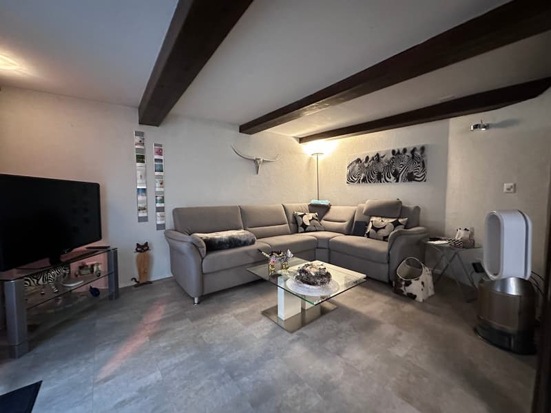 Piccola, affascinante casa unifamiliare 4.5 locali, situata nel centro di Muri AG (2)
