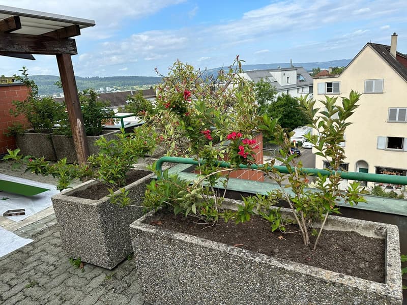 Maisonette moderna con accesso ascensore privato e terrazza sul tetto con vista mozzafiato (12)