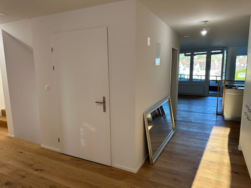 Maisonette moderna con accesso ascensore privato e terrazza sul tetto da sogno (3)
