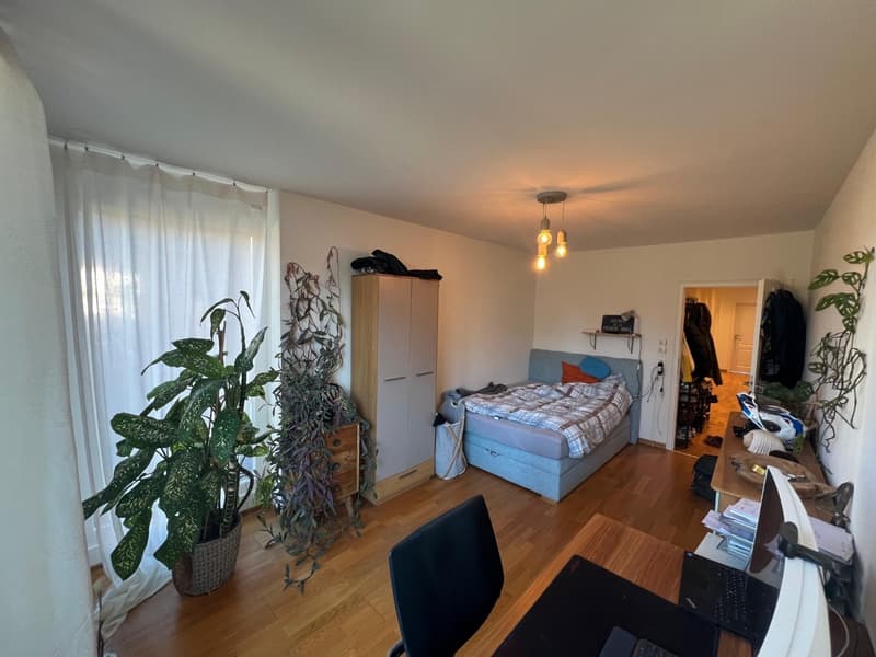 Habitation spacieuse à Zurich Höngg Appartement moderne de 5,5 pièces avec jardin (8)