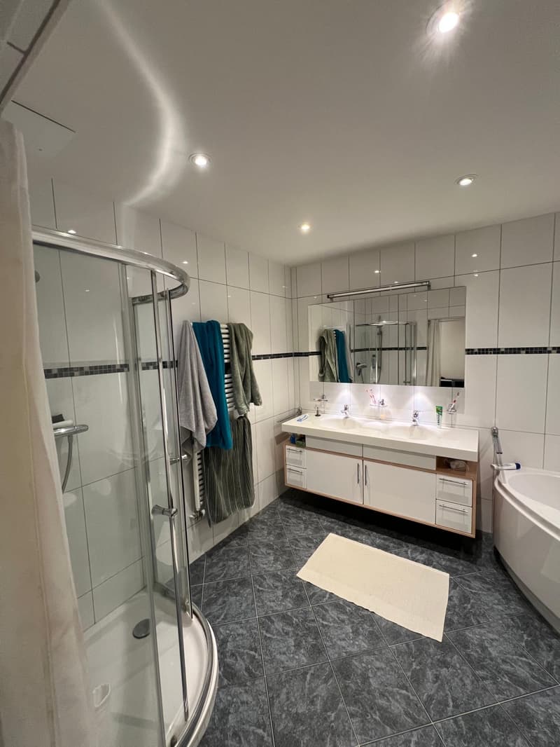 Habitation spacieuse à Zurich Höngg Appartement moderne de 5,5 pièces avec jardin (12)
