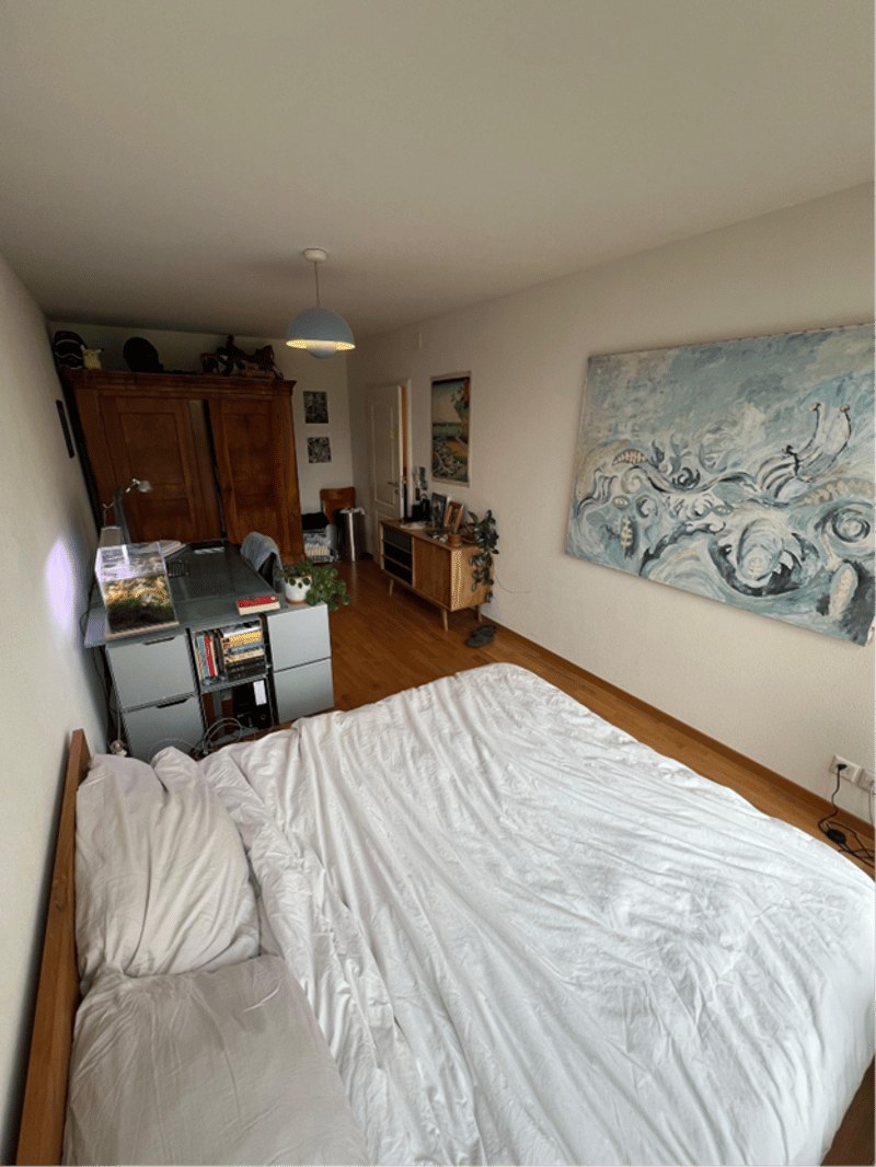 Habitation spacieuse à Zurich Höngg Appartement moderne de 5,5 pièces avec jardin (7)