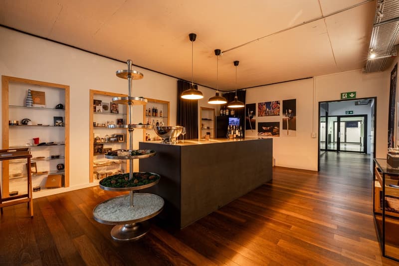 Bureau, Exposition, Restaurant, Garderie / Espace commercial à Cham (8)