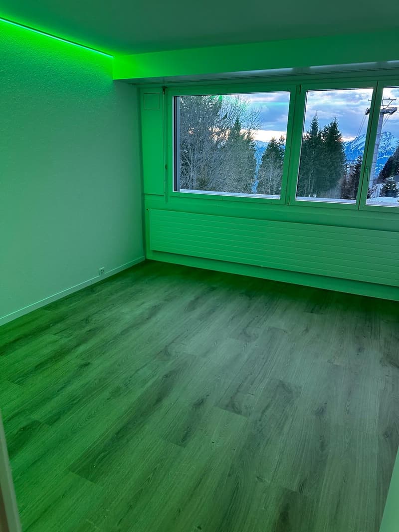 Charmant studio 1 pièce dans un quartier calme à Rigi Kaltbad (2)