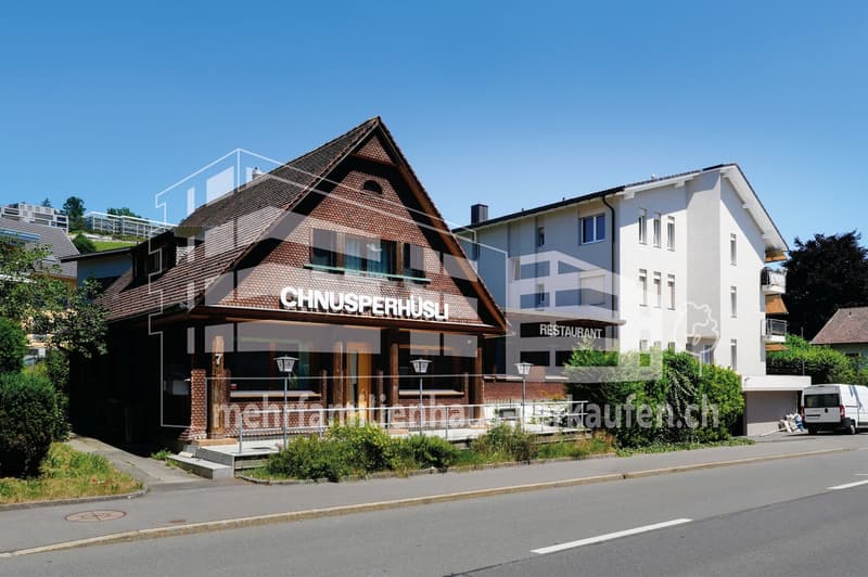 FOR SALE IN POPULAR OBERÄGERI (ZUG) (3)