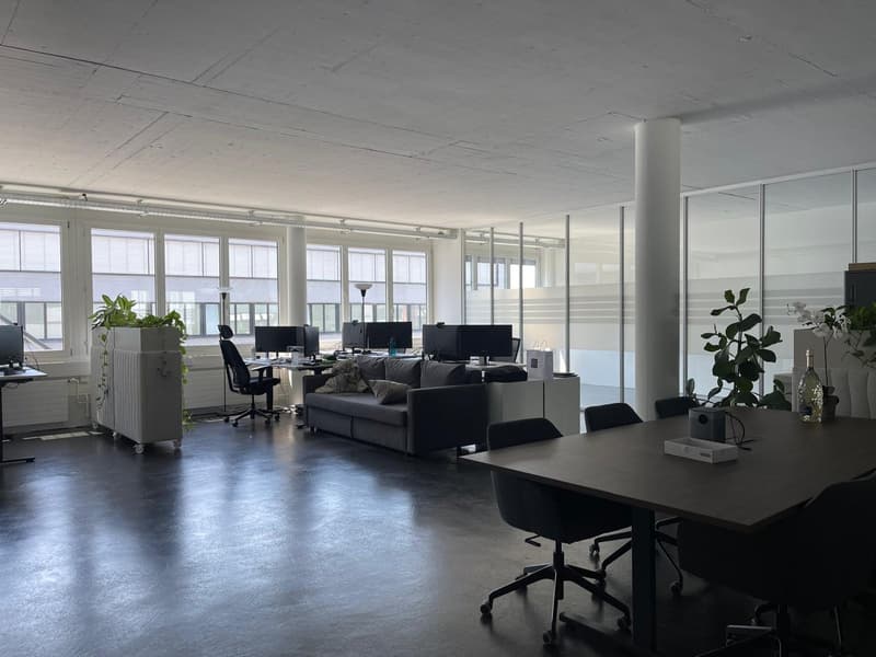 Bright office space in a good location in Cham (4)