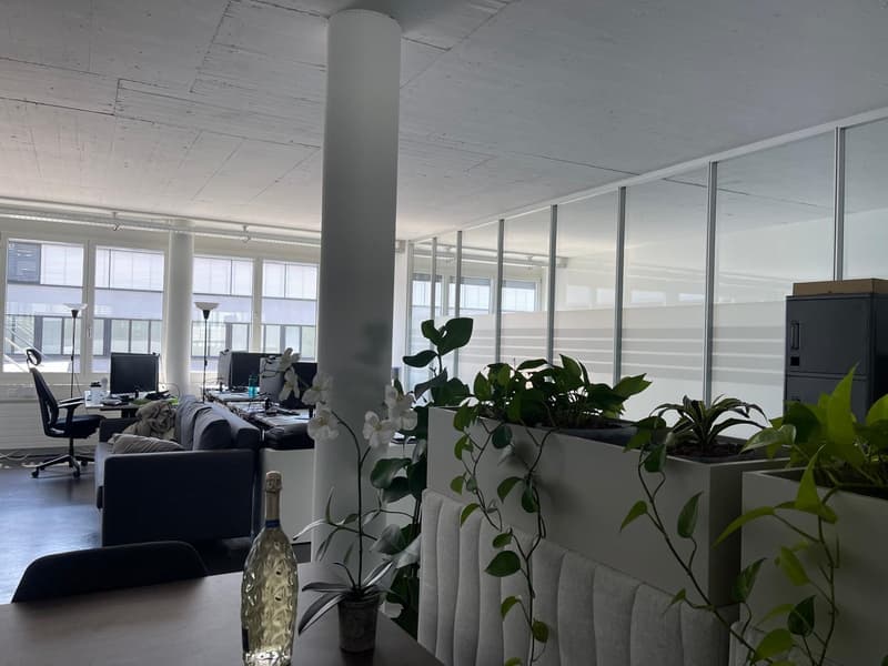 Bright office space in a good location in Cham (16)