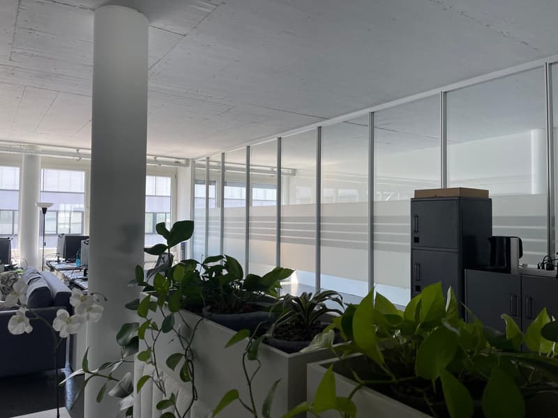 Bright office space in a good location in Cham (15)