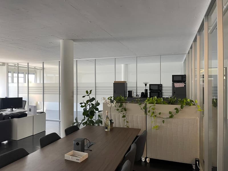 Bright office space in a good location in Cham (14)