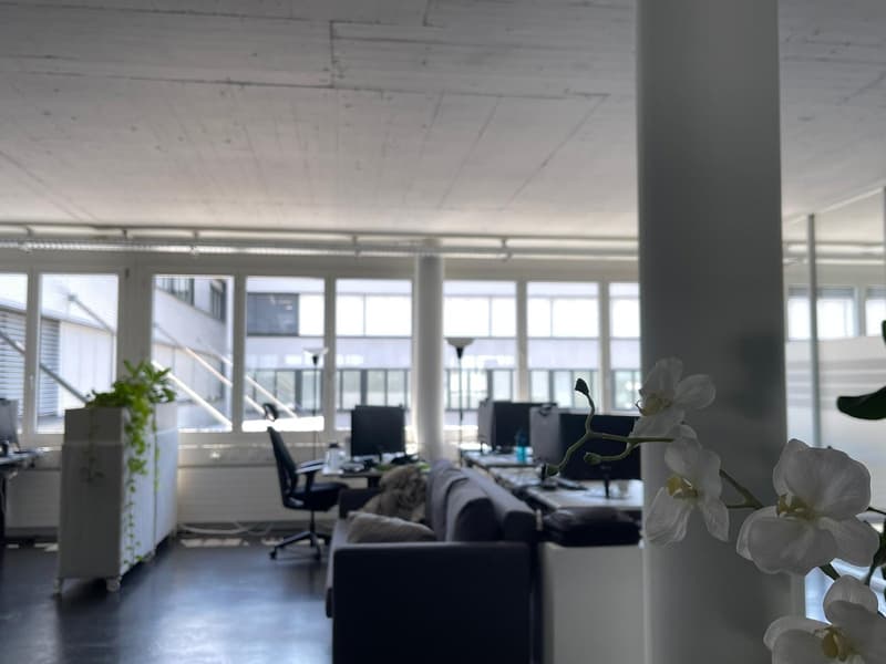 Bright office space in a good location in Cham (19)
