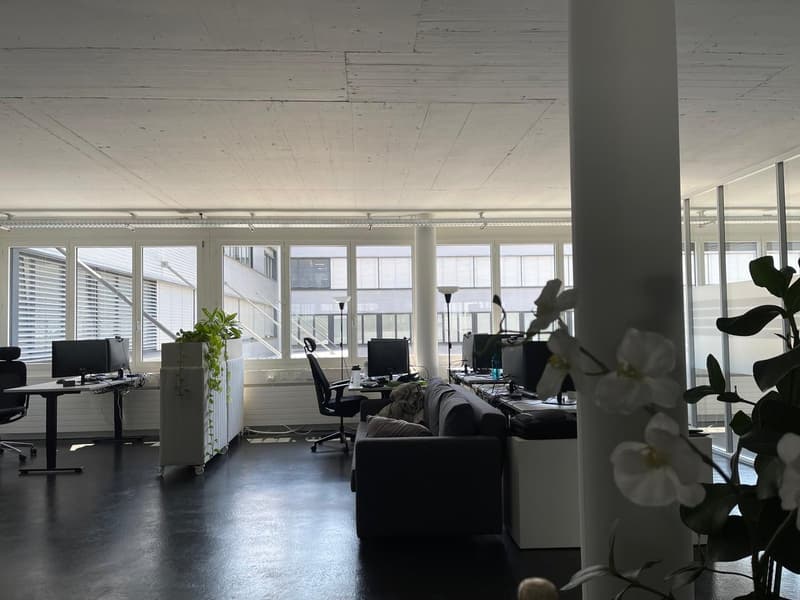 Bright office space in a good location in Cham (18)