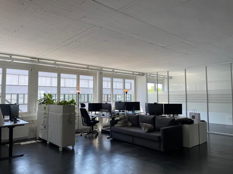 Bright office space in a good location in Cham (6)