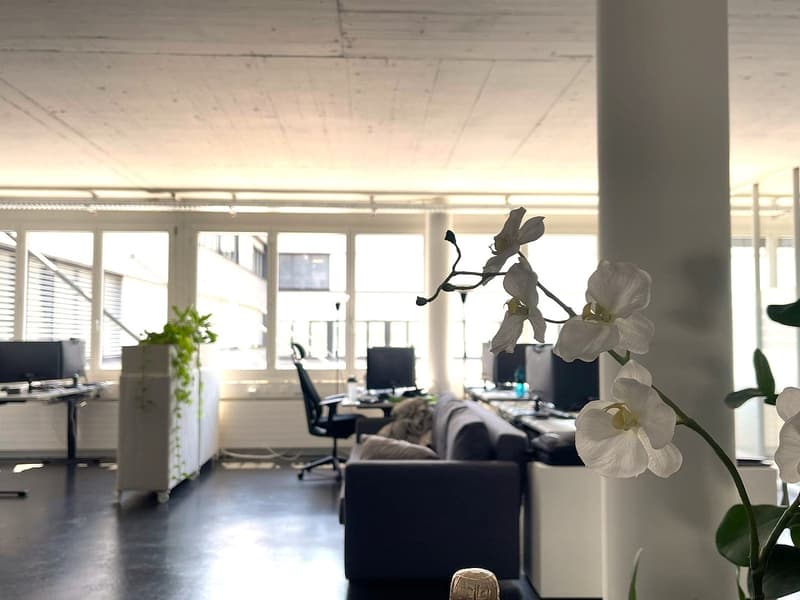 Bright office space in a good location in Cham (1)