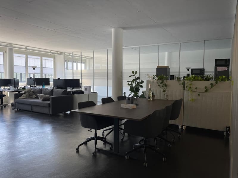 Bright office space in a good location in Cham (5)