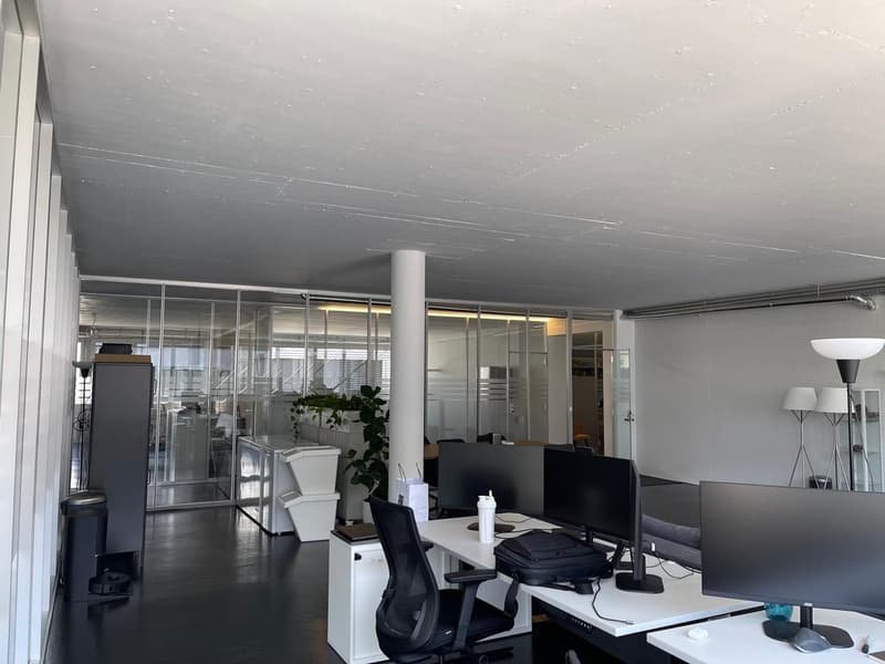 Bright office space in a good location in Cham (13)