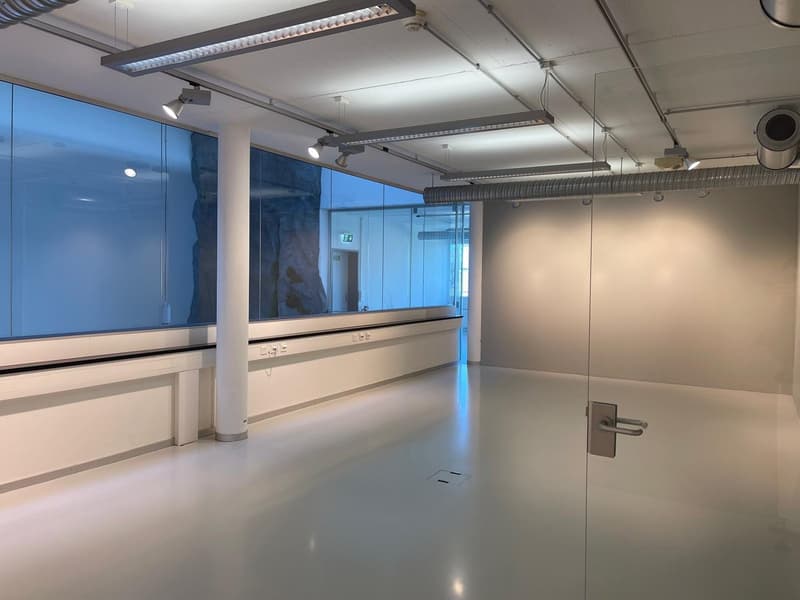Modern office on the 1st floor in Cham – 48 m², available immediately (1)