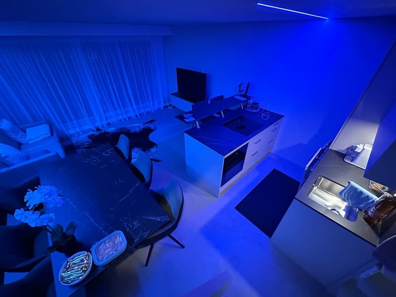 Traumhafte 4.5 Zimmer Wohnung auf Rigi Kaltbad, frisch renoviert – mit See-, Berg- und Alpenblick (3)