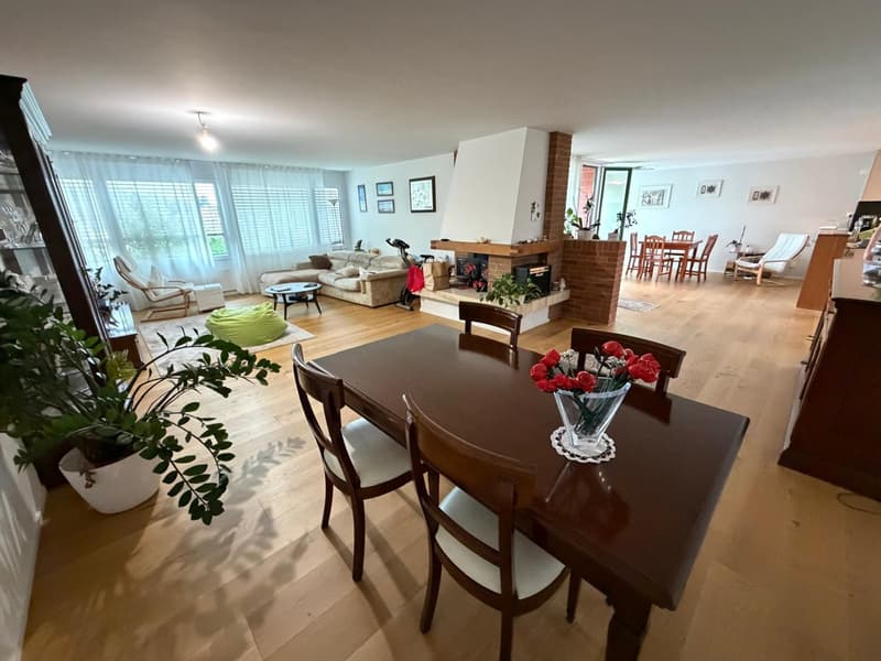 Modern maisonette with direct lift access to the apartment and a dreamy rooftop terrace (1)