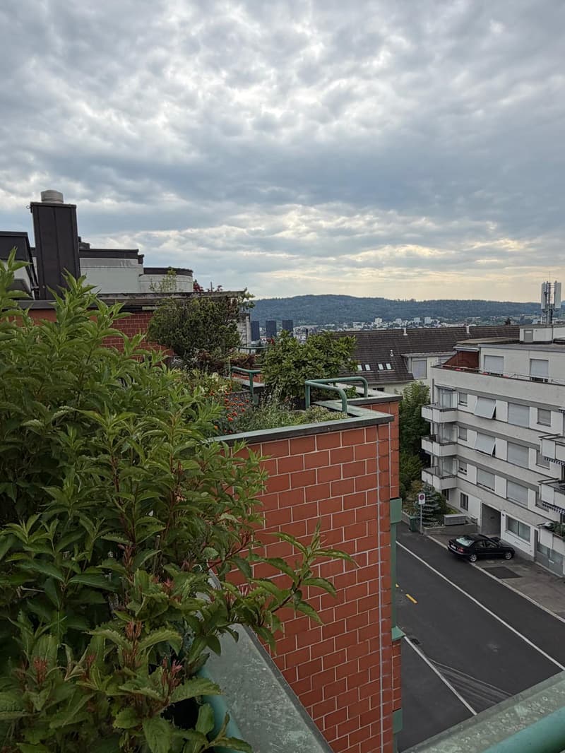Modern maisonette with direct lift access to the apartment and a dreamy rooftop terrace (21)