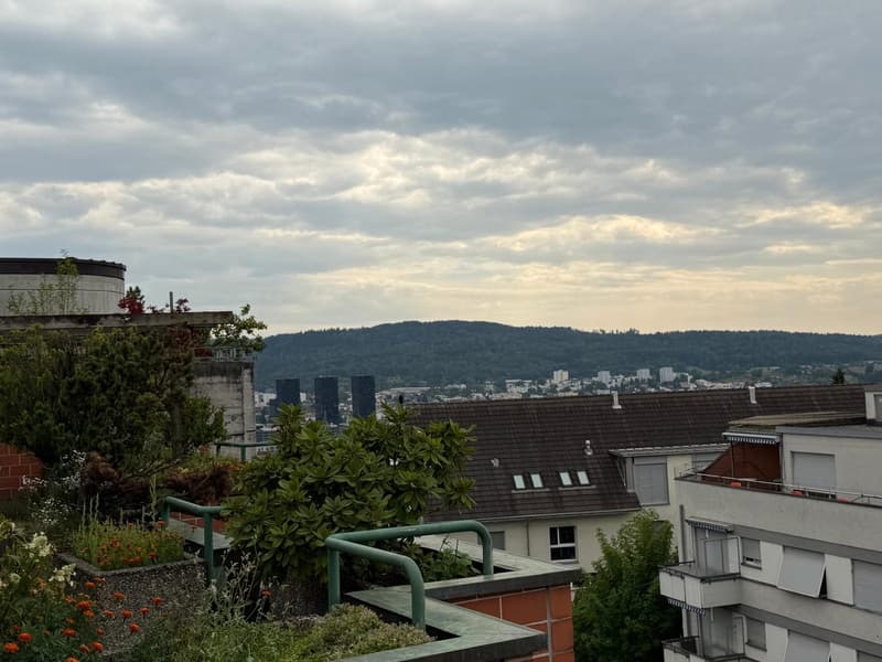 Modern maisonette with direct lift access to the apartment and a dreamy rooftop terrace (16)